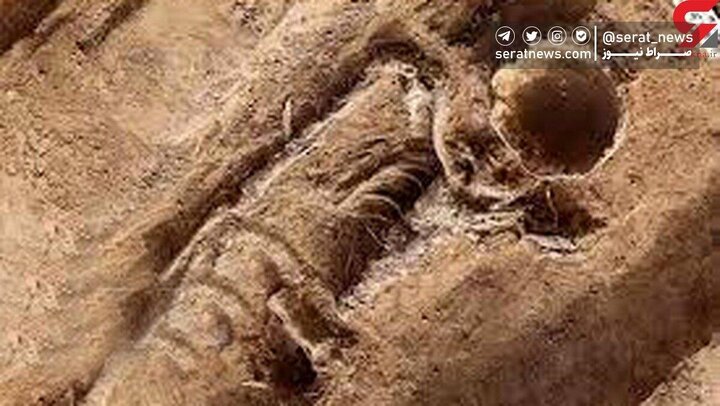 پیدا شدن اسکلت یک زوج بدون جمجمه + ماجرا چه بود؟ پیدا شدن اسکلت یک زوج بدون جمجمه + ماجرا چه بود؟
