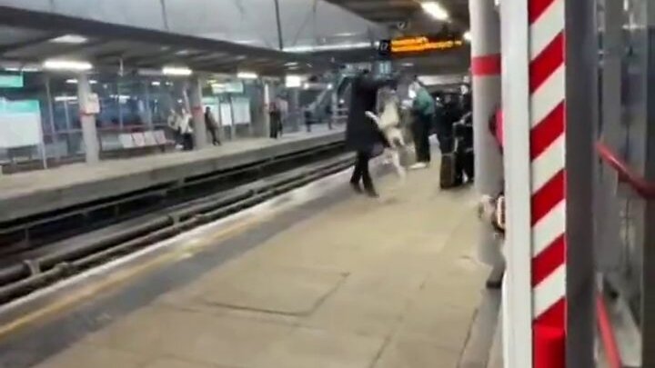 لحظه حمله یک سگ به مردی در ایستگاه مترو / فیلم