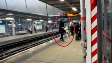 حمله وحشتناک سگ به مرد در مترو + فیلم