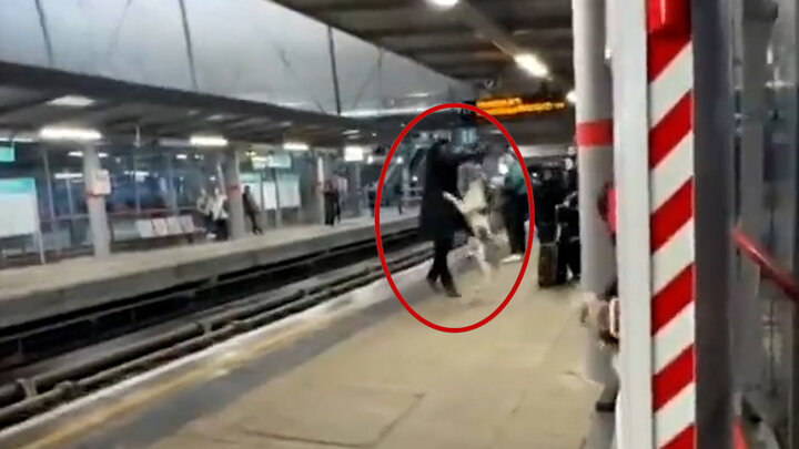 حمله وحشتناک سگ به مرد در مترو + فیلم