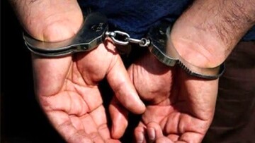 ۱۲۰ تبعه خارجی غیر مجاز در ایرانشهر دستگیر شدند + جزییات