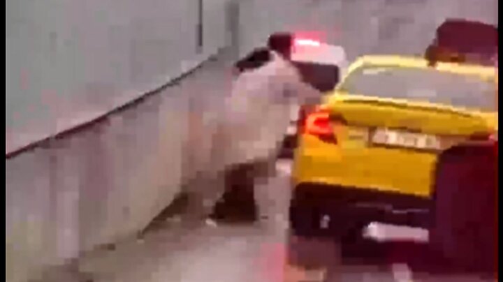 حمله وحشتناک زن عصبانی به راننده تاکسی بی حیا + فیلم
