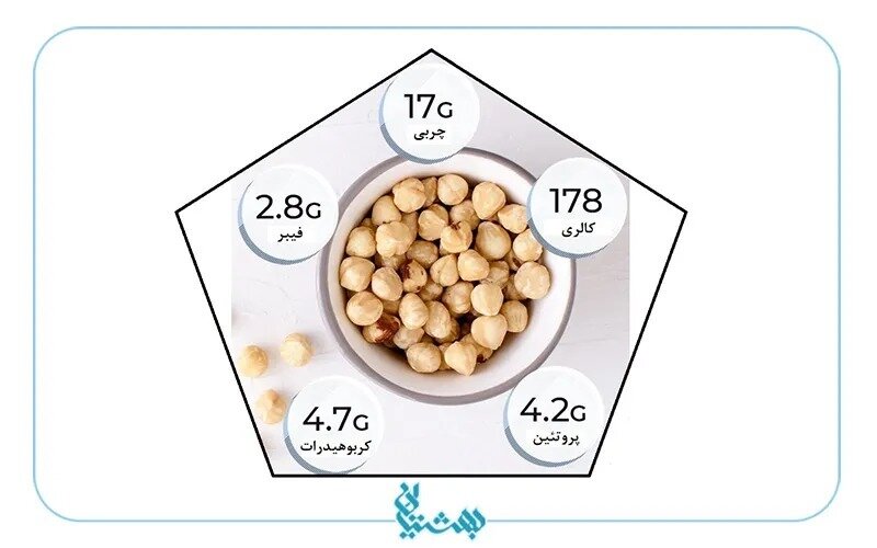 خواص فندق: ۷ خاصیت علمی اثبات شده