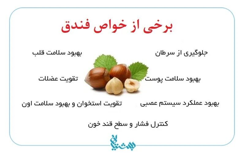 خواص فندق: ۷ خاصیت علمی اثبات شده