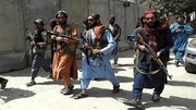 اقدام عجیب طالبان علیه شیعیان و زبان فارسی