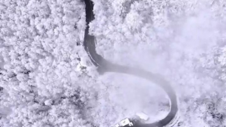 تصاویر حیرت انگیز از بارش برف در جاده چالوس + فیلم