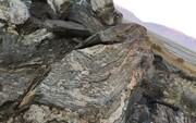 کشف سنگ‌های پلاستیکی در زمین / علت شکل‌گیری این سنگ‌ها چیست؟