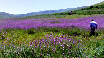 زیباترین روستای گرمی در اردبیل کدام است؟