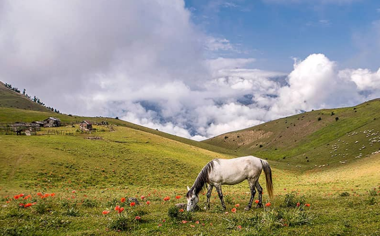 ییلاق سوباتان کجاست