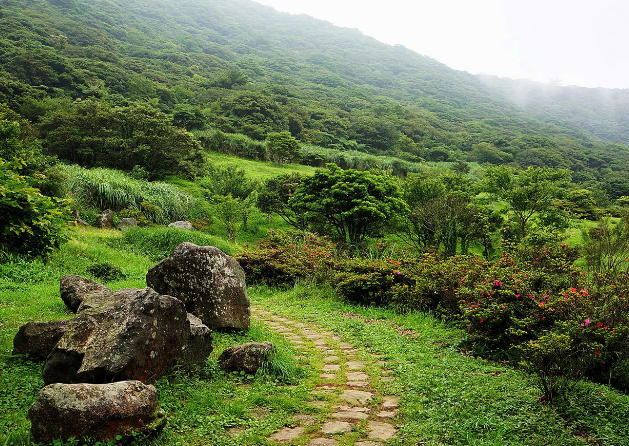 بهترین جنگل برای کمپینگ در تالش