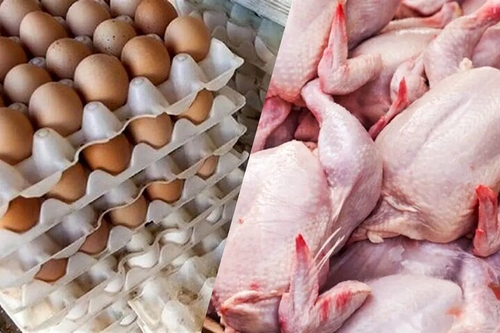 افزایش قیمت مرغ و تخم مرغ در بازار | قیمت هر کیلو مرغ چند شد؟ + جزئیات