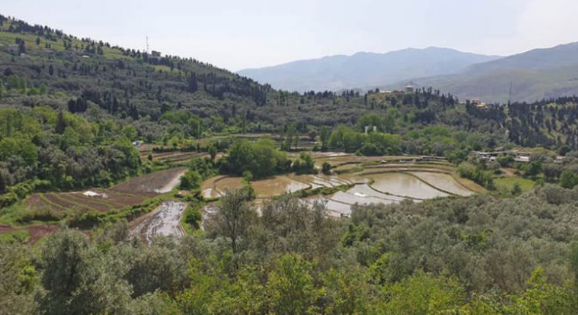 تپه مارلیک رودبار کجاست؟