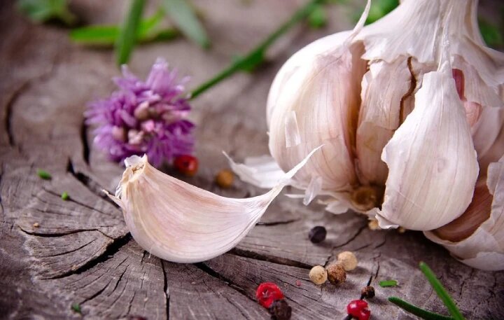 با خوردن منظم سیر چه اتفاقی برای بدن شما می افتد؟