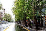 اتفاق عجیب در خیابان های ایران جنجالی شد + عکس