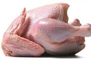 قیمت روز مرغ در بازار /  هر کیلو ساق مرغ ۲۶۱ هزار تومان