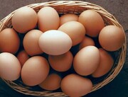 آیا می توان تخم مرغ را شست؟