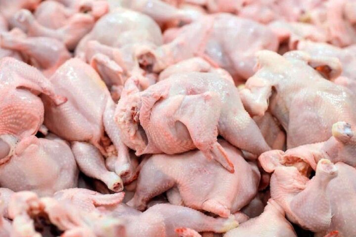 کاهش شدید قیمت مرغ در بازار + قیمت مرغ به زیر ۱۰۰ هزار تومان رسید