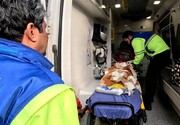 لحظه انتقال کودک ۴ ساله مجروح‌ در انفجار تروریستی کرمان به تهران با هلیکوپتر + عکس