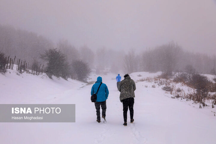 بارش شدید برف در مازندران + زمستان از راه رسید! + عکس