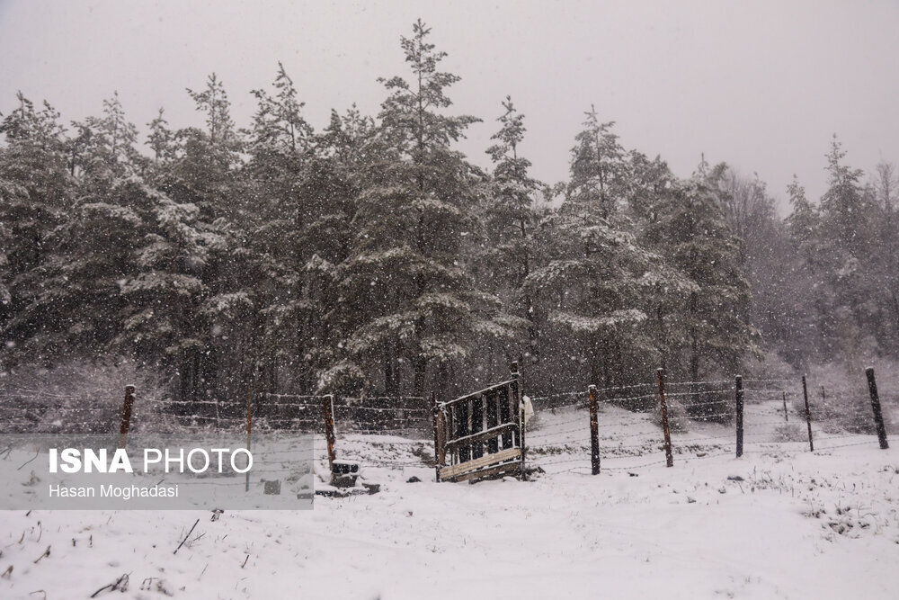بارش برف در ارتفاعات مازندران