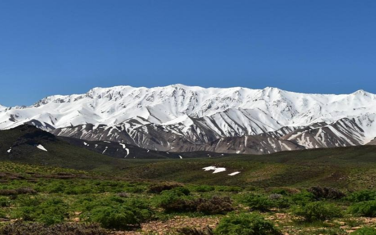 غالیه کوه الیگودرز کجاست؟