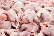 کاهش قیمت گوشت داخلی / قیمت هر کیلو سینه مرغ ۲۶۱ هزار تومان