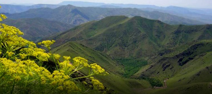 خاصترین جاذبههای طبیعی دیواندره کردستان
