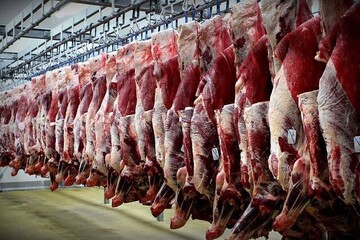 ورود گوشت منجمد به کشور تا پیش از ماه رمضان
