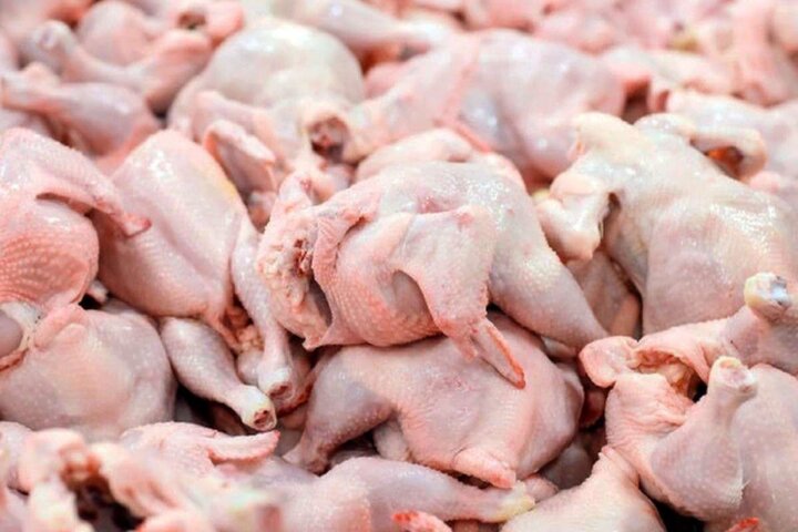 قیمت روز گوشت مرغ در بازار / هر کیلو ساق مرغ ۲۶۱ هزار تومان