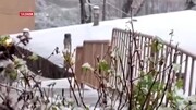 بارش برف یک متری در آق‌چای گیلان + فیلم