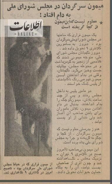 تصویری تاریخی از پناه آوردن میمون فراری به مجلس ایران!