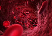 چند لیتر خون در بدن انسان وجود دارد؟