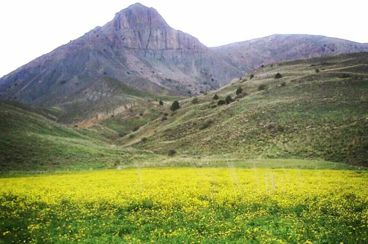 زیباترین جاهای دیدنی پارک ملی ساریگل