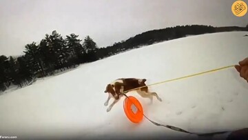 تلاش باورنکردنی یک سگ شجاع برای نجات صاحبش از داخل دریاچه یخ‌زده + فیلم