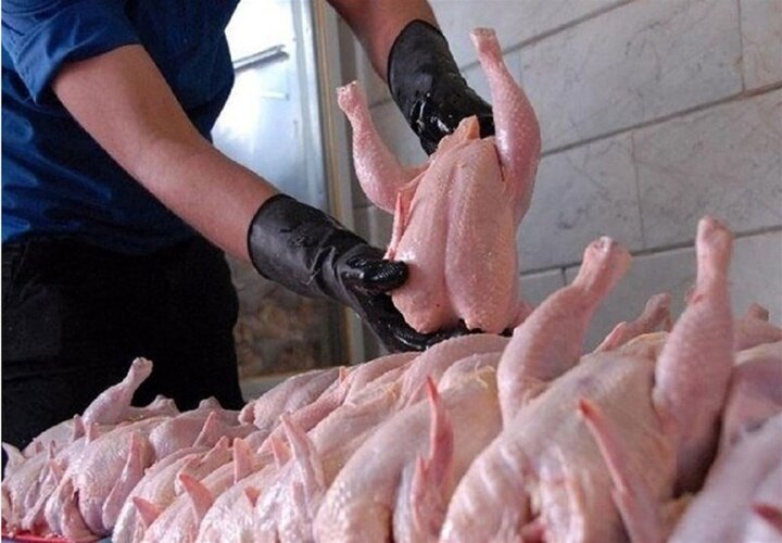 افزایش تقاضا برای گوشت مرغ / هر کیلو مرغ ۷۸ هزار تومان