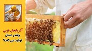 ۲۷ هزار تنُ عسل در این استان تولید می‌شود!