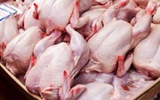 قیمت روز گوشت مرغ در بازار  / ساق مرغ ۲۶۱ هزار تومان