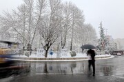 عکس‌هایی زیبا از بارش برف در تهران
