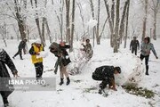 قلیون عجیب مرد مشهدی در برف + عکس