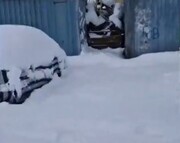 بارش ۲ متری برف در کردستان / مدفون شدن خودروها زیر برف + فیلم
