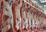 کاهش ۱۸ درصدی عرضه گوشت قرمز در بازار