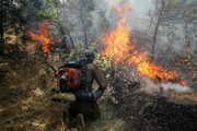 وقوع آتش سوزی جنگل نوشهر / جزئیات