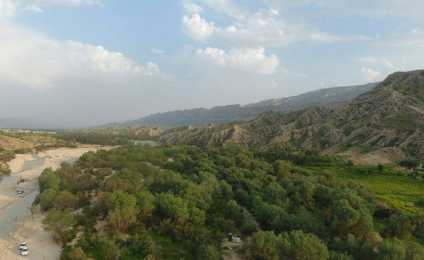 بهترین جنگل استان بوشهر کجاست؟