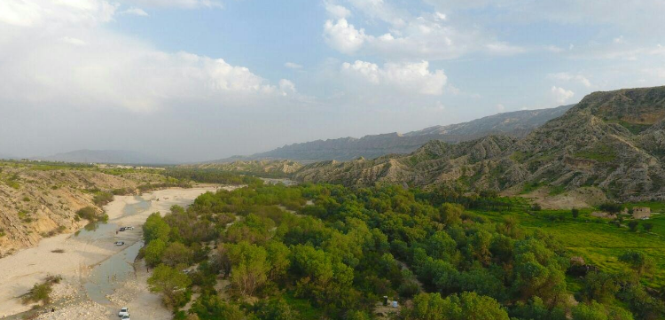 بهترین جنگل استان بوشهر کجاست؟