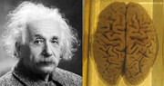 حقایقی عجیب و حیرت انگیز درباره مغز آلبرت انیشتین