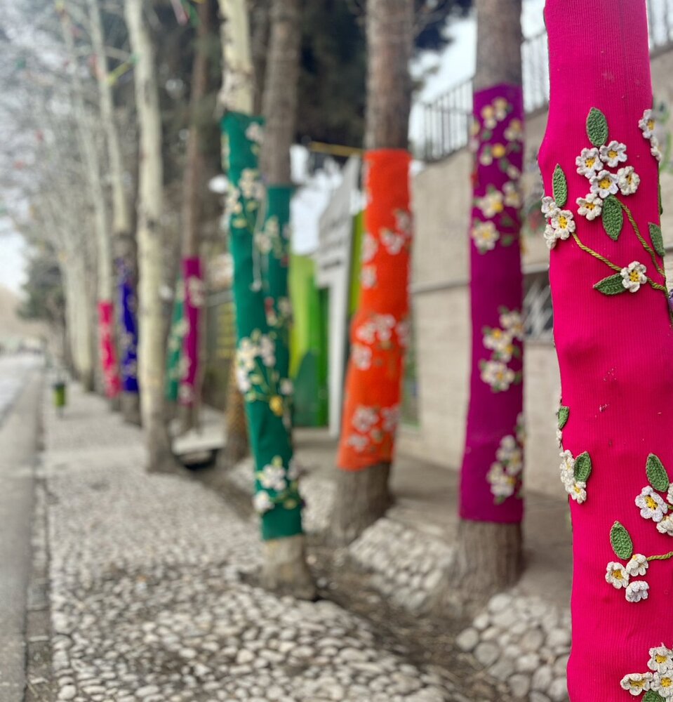 شهرداری مشهد برای درختان لباس خرید!+ عکس