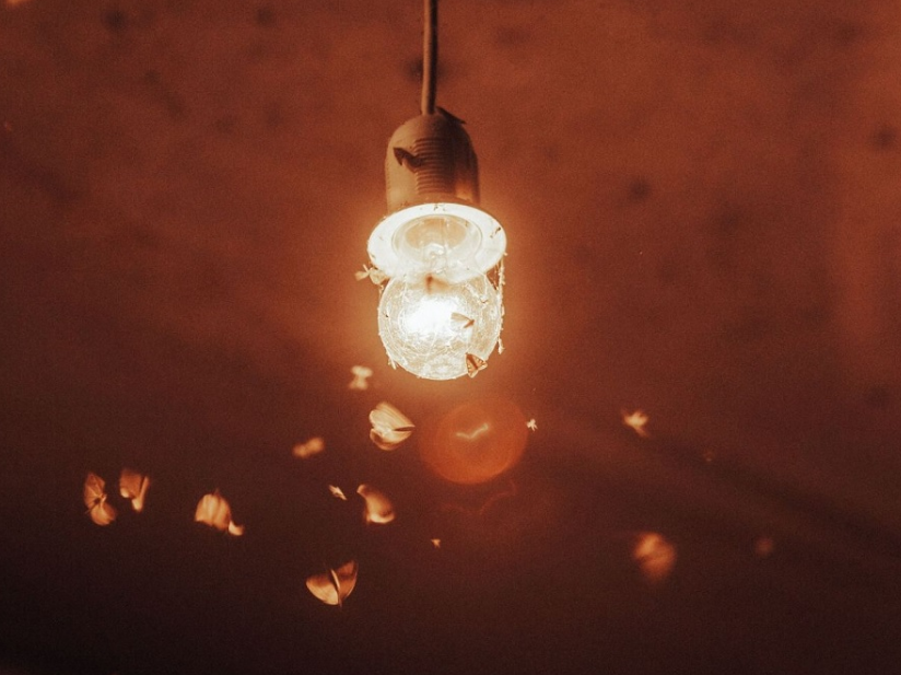 راز سرگردانی حشرات در تاریکی / علت جمع شدن حشرات به دور لامپ‌ها