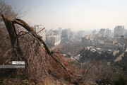 کیفیت هوای تهران در وضعیت نارنجی