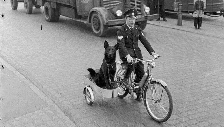 عکسی جالب از یک پلیس آلمانی به همراه سگش