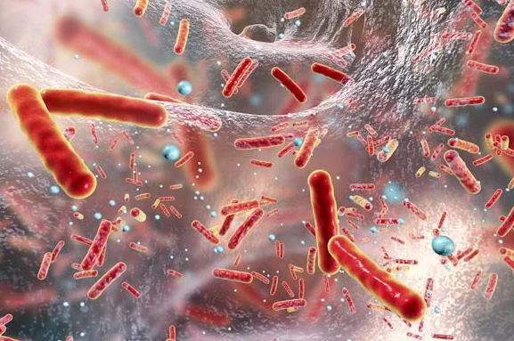 نبردی نوین در برابر باکتری‌های مقاوم
